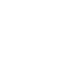Vip paradise logo